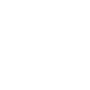 Restauración y preservación