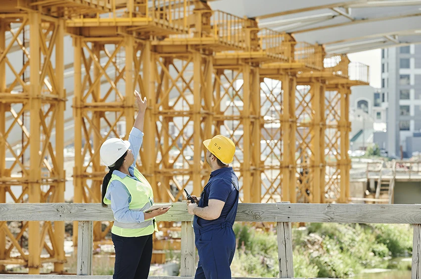 Servicio gestión de proyectos